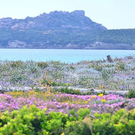 Frontemare Santa Teresa Gallura